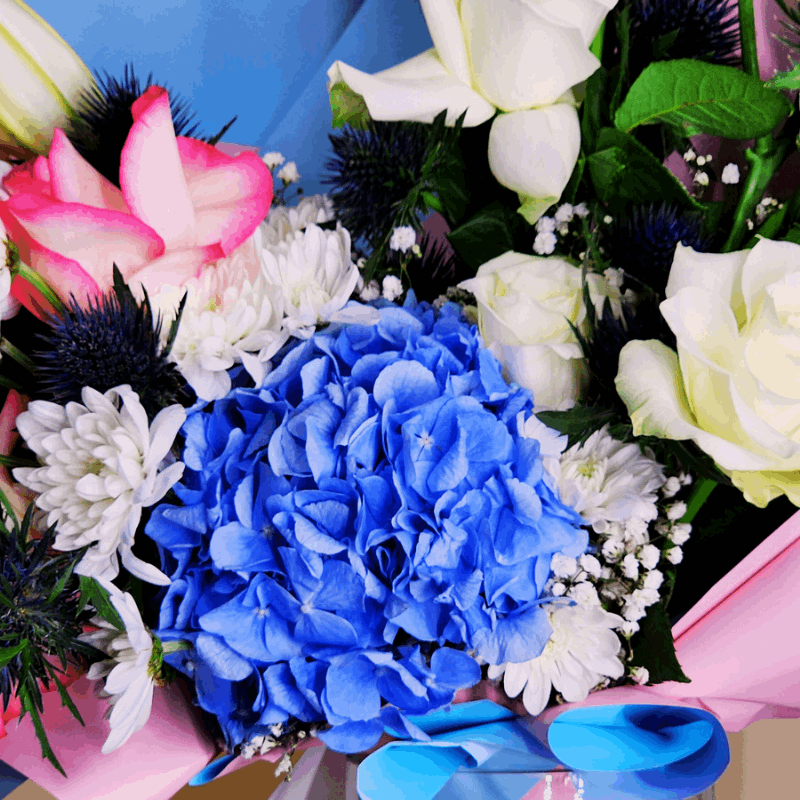 Sophie - Fleur Nation - flowers, chocolates, cakes and gifts same day delivery in Dubai