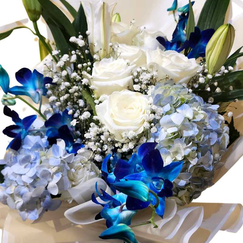 Azul - Fleur Nation - flowers, chocolates, cakes and gifts same day delivery in Dubai