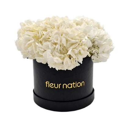 Hydrangea Bloom Box - Fleur Nation - flowers, chocolates, cakes and gifts same day delivery in Dubai