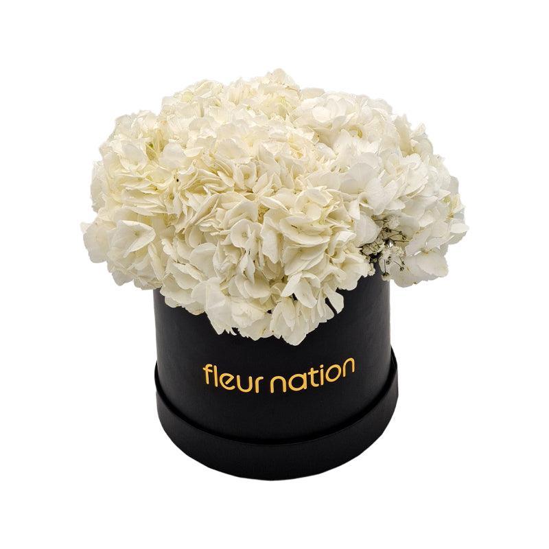 Hydrangea Bloom Box - Fleur Nation - flowers, chocolates, cakes and gifts same day delivery in Dubai