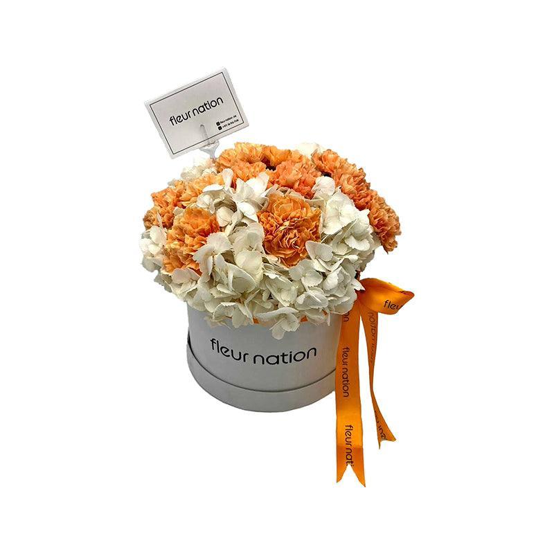 Premium Bloom Box  Hydrangea and Carnations - Fleur Nation - flowers, chocolates, cakes and gifts same day delivery in Dubai